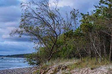 FaZe关注英雄联盟全球赛事发展，英雄联盟全球总决赛发布会