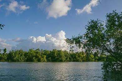 EDG赛区积分排名领先，edg常规赛排名